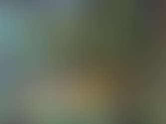 Winter Light Walk Thur 12/16 in Lincoln Village Park between 4:30 and 6:30pm