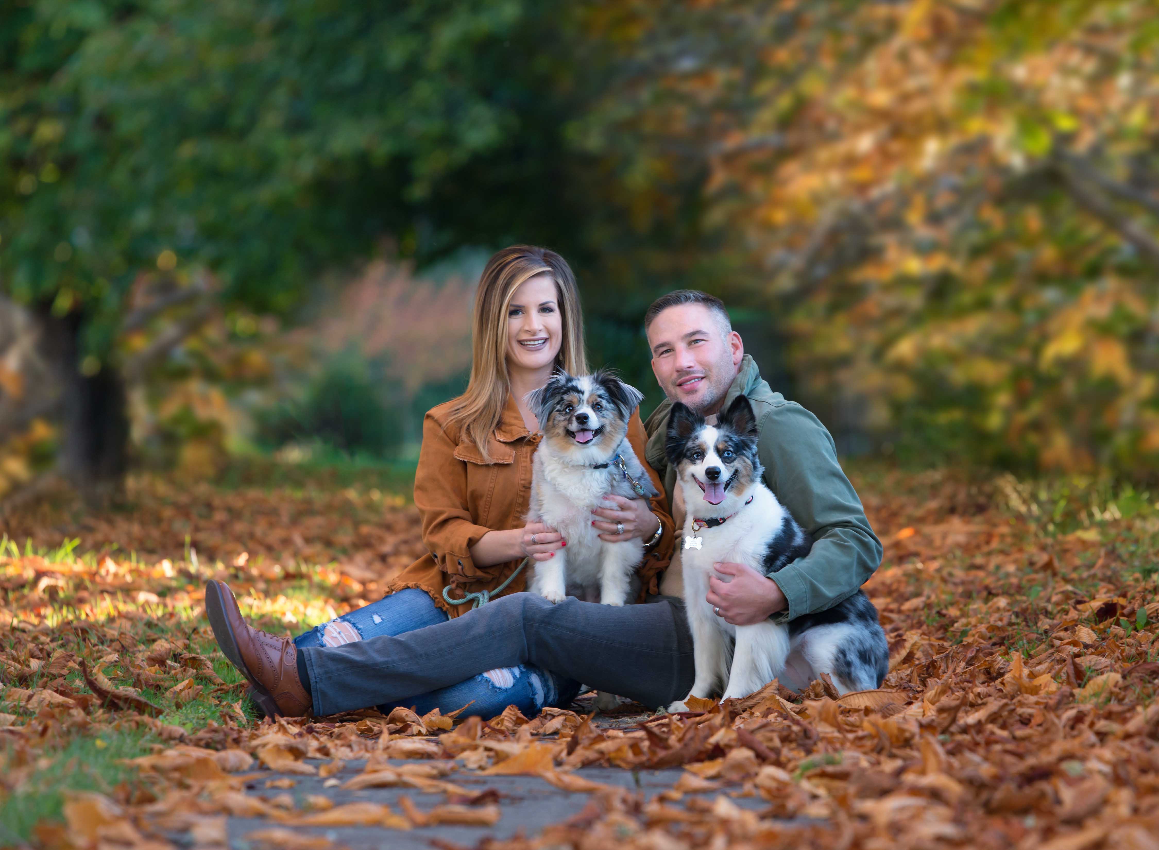Fall leaves and puppies