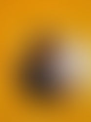 CQP animateur périscolaire 2017-2018