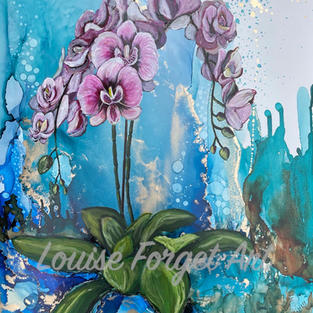 Orchidées