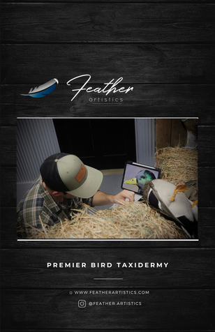 Copy of Copy of Pricelist (Flyer (5.5 × 8.5 in)).png