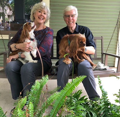 About our Dogs