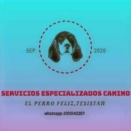 120458680_104671974736170_19225799256837