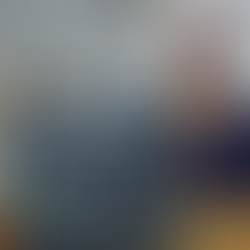 MULTIRISQUE PROFESSIONNELLE