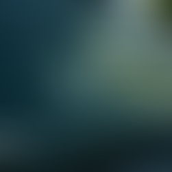 Sinistre bris de glace auto