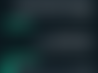 הבונוס על העבודה Tsafrir investigations