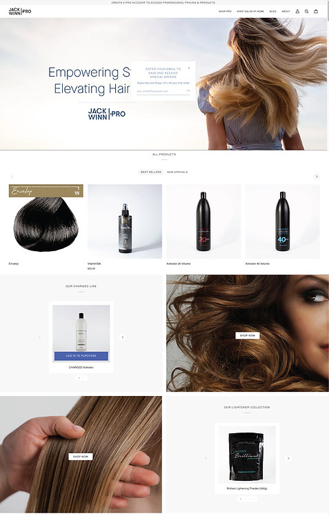 Shopify 1.jpg