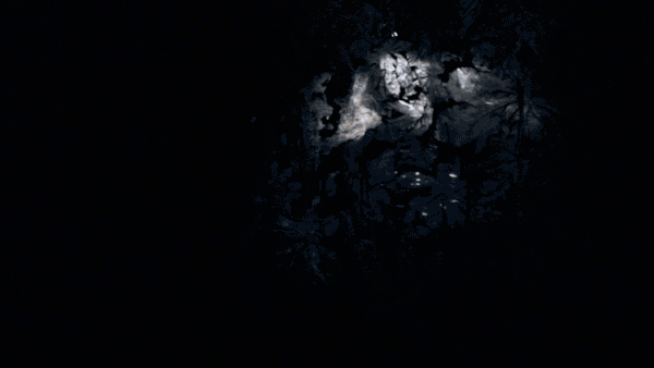 653afc60014625.5e100f0e0a66b.gif