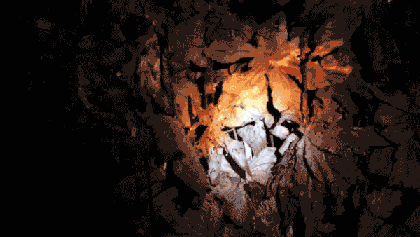 77920a60014625.5e100f0e0a093.gif