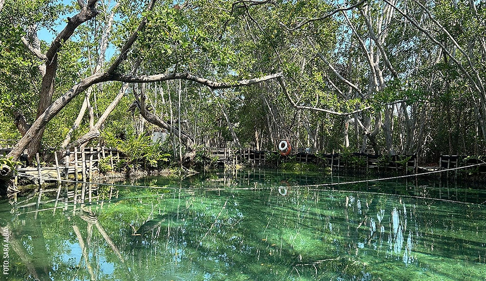 Reserva Ecológica El Corchito (Progreso).jpg