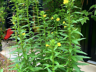 What I'm Loving this Week!