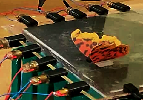 Butterfly on a sensor.png