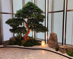 20241116_095643_edited_edited