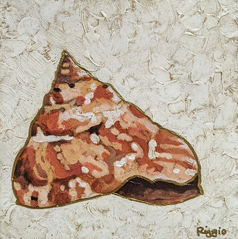 Top Snail Shell 8x8.jpg
