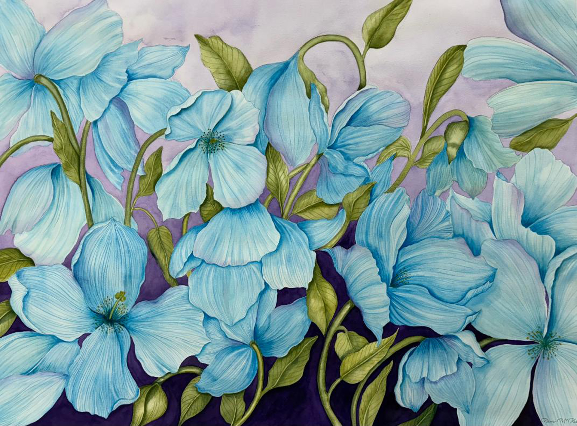 LIN WEBBER, WRAY DiOTTAVIO, CATHY PELLUSO, DAVE AQUAMANTE, JOANNE ORTH