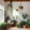neutral room with neutral walls and lots of plants and hanging vines .jpg