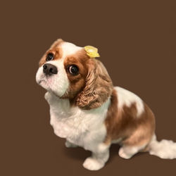 Photoroom_20251208_234829