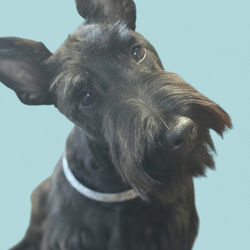 Photoroom_20251208_234712