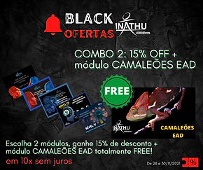 black friday (2).png