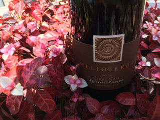 2017秋のワイン入荷のお知らせ【第二弾】