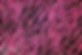 ZebraZag Pink