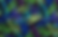 Frond