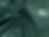 Metallic Forest