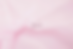Camelia Chiffon