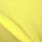 Neon Sunshine Supplex
