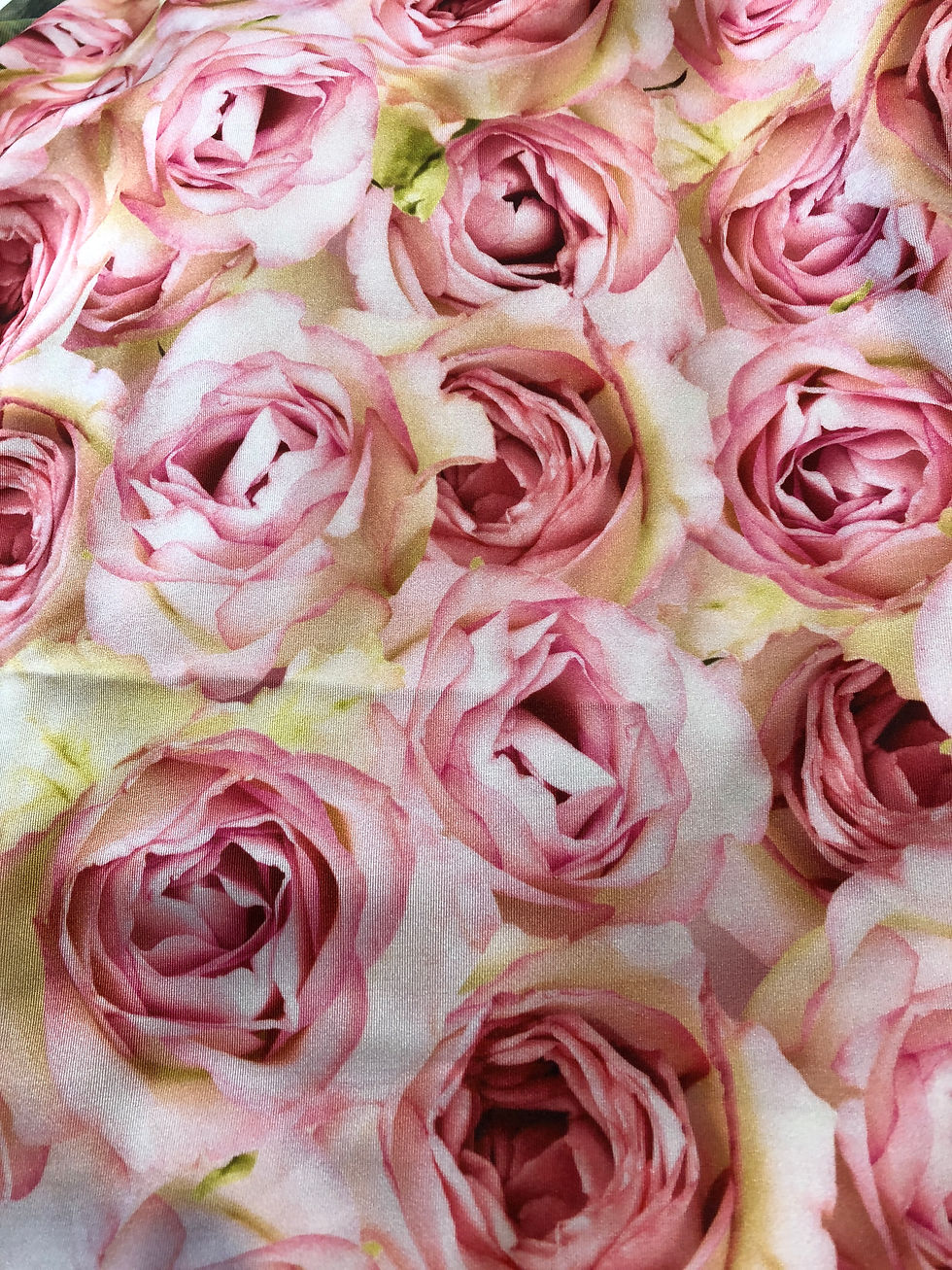 Rose Garden