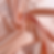 Standard Satin - Apricot
