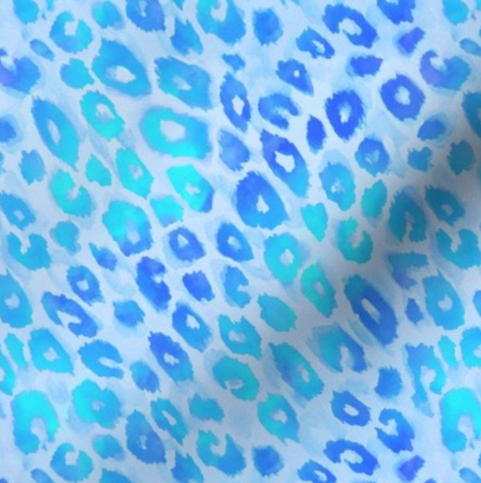 Wild Cat - Aqua