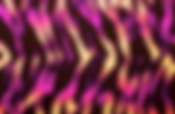 Electric Zebra