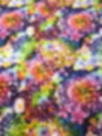 Hydrangea - Pink