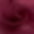 Organza - Rouge
