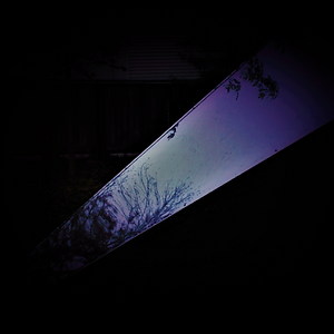 236 NEW EDIT 1 (2).png