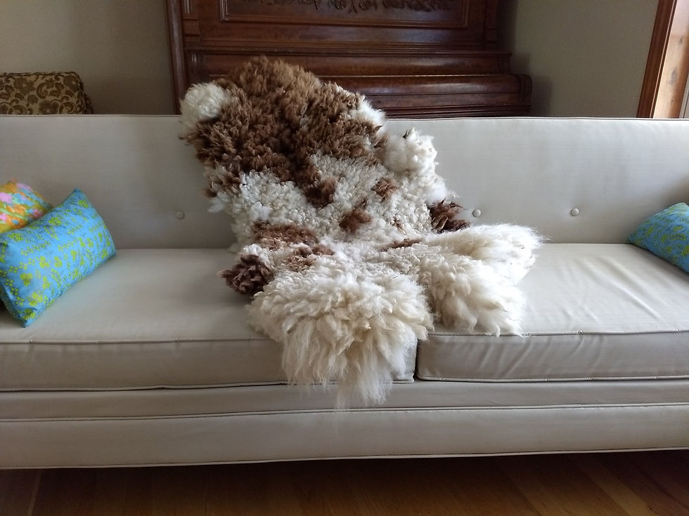 Sheepskin Throw