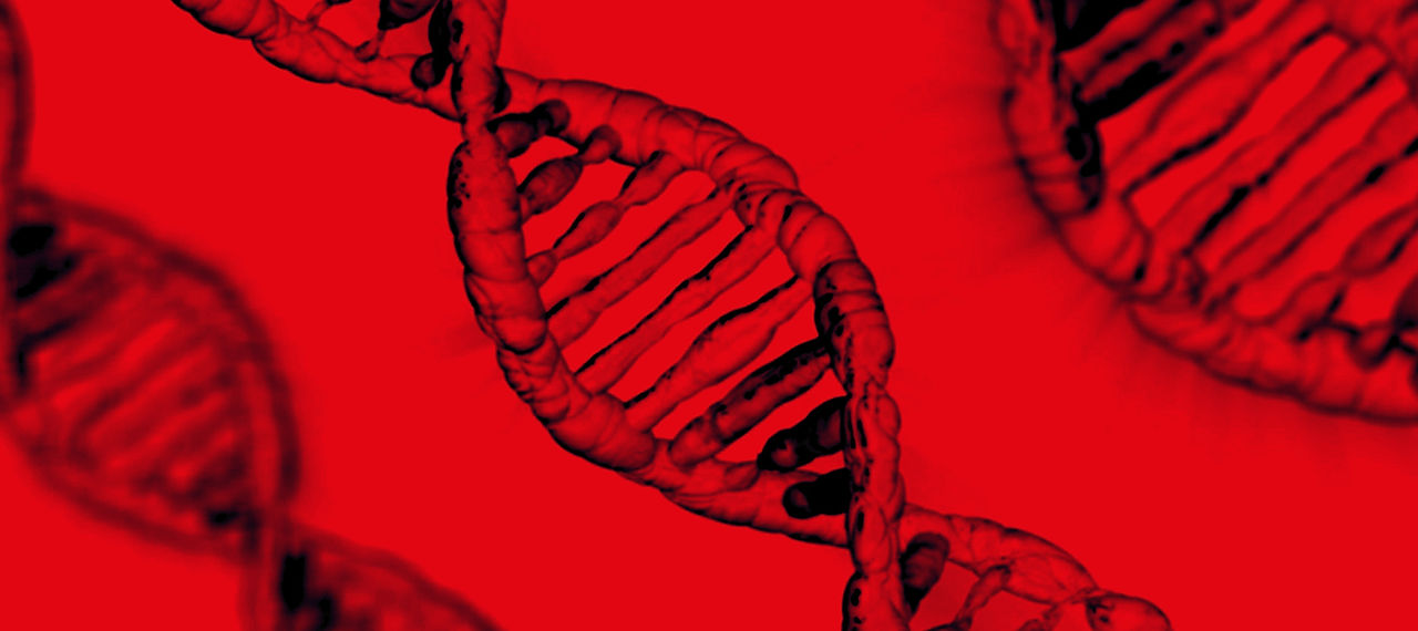 ungforsk-bilde-DNA.jpeg