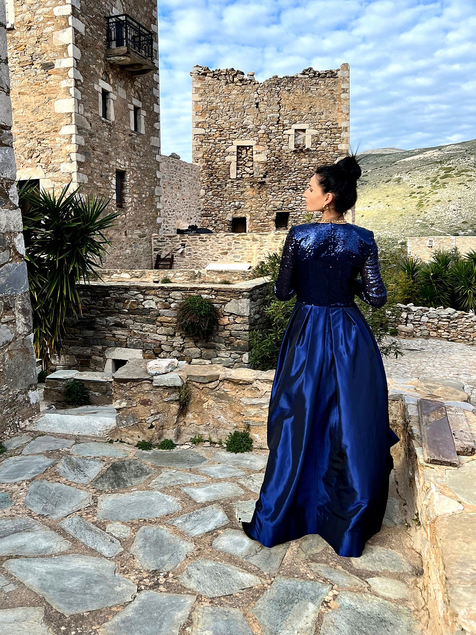 縮圖：Diana Taffeta pleated skirt with a sequin top