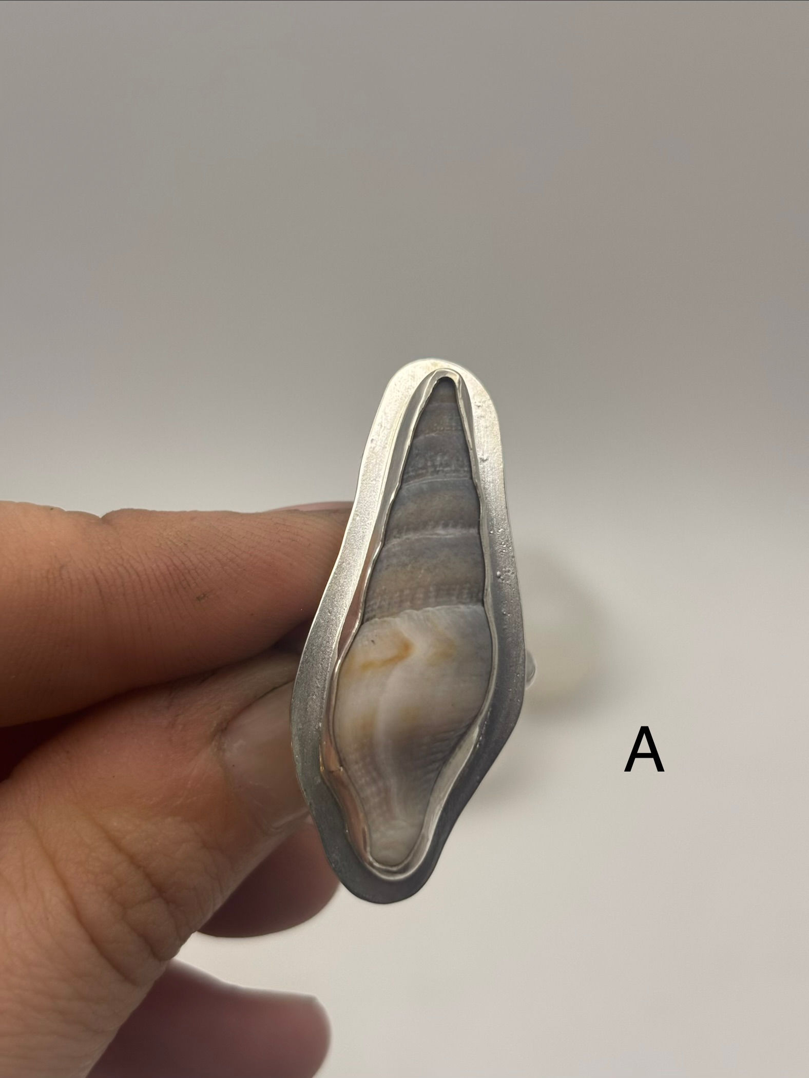 Sterling Silver Auger Seashell Ring