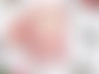 SWORDCROSSEDโ๏ธ