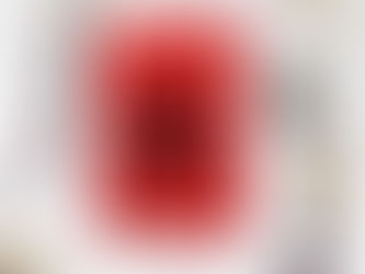 Gatta bianca, cane nero🐱🐶