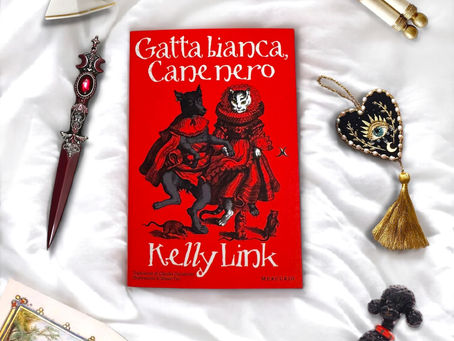 Gatta bianca, cane nero🐱🐶