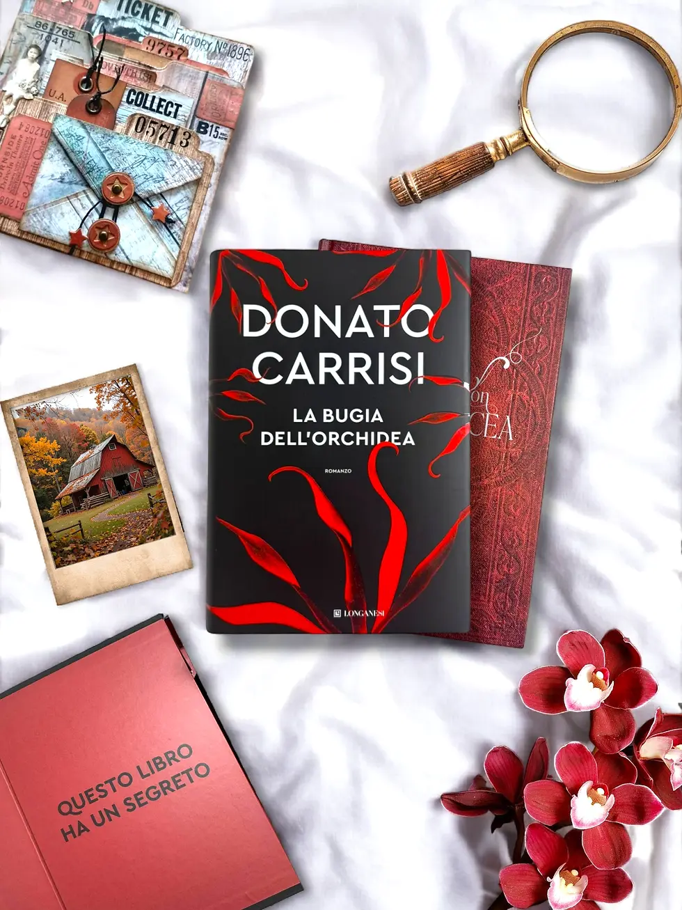 La bugia dell'orchidea 🏵️