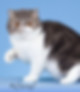 IMG_7599.jpeg