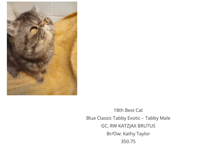 Screenshot 2024-10-16 at 12.44.10 PM.png