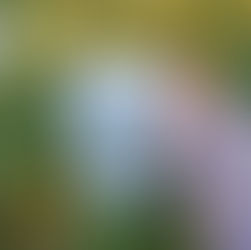 Chocolat chaud comme au marché de Noël