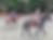 Thumbnail: Horse Riding