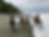 Thumbnail: Horse Riding