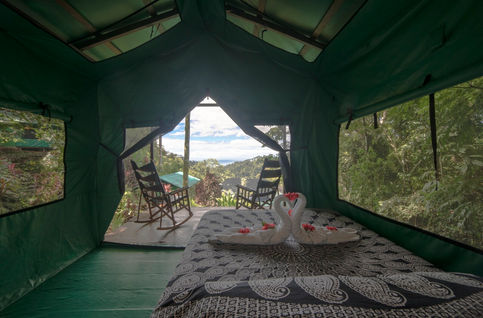 Carpa-interior-2.jpeg